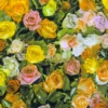 Vivid Flora 3D Digital Print
